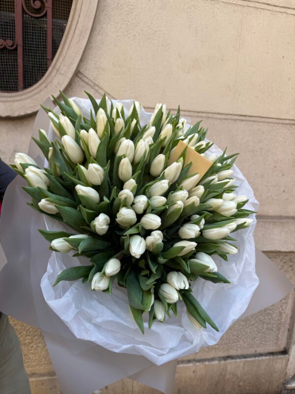 Bouquet of 65 tulips