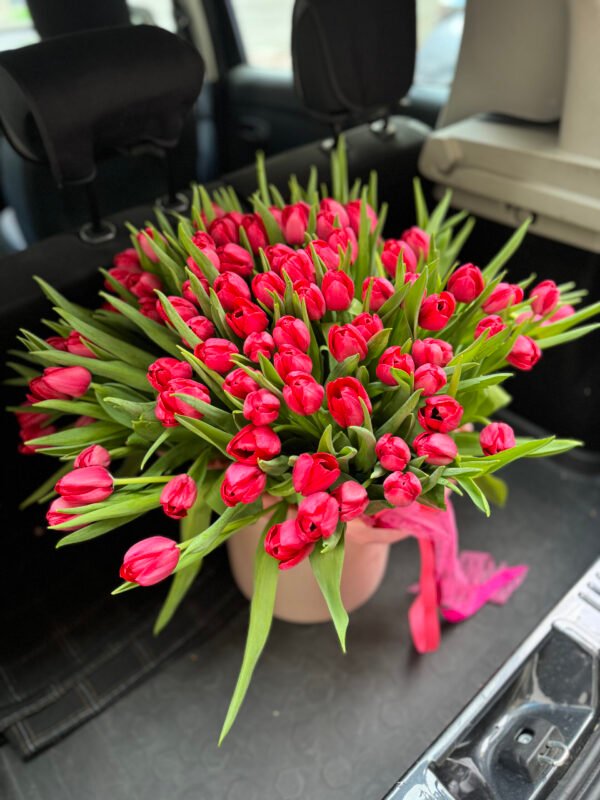 100 tulips in a box