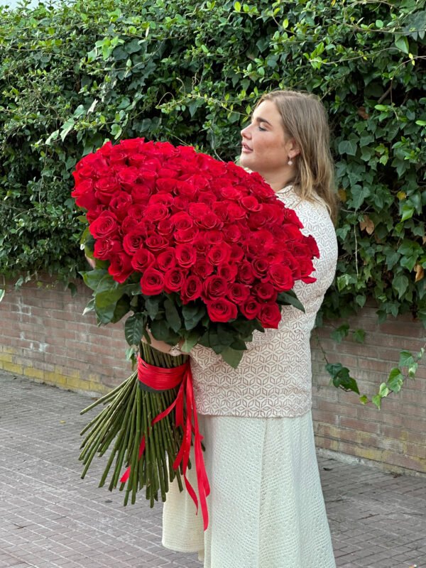 100 elegantes rosas rojas de tallo largo