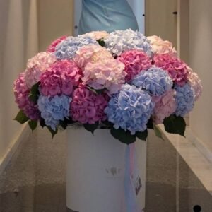 Large boxed bouquet of hydrangeas