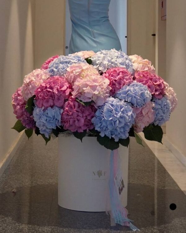 Large boxed bouquet of hydrangeas