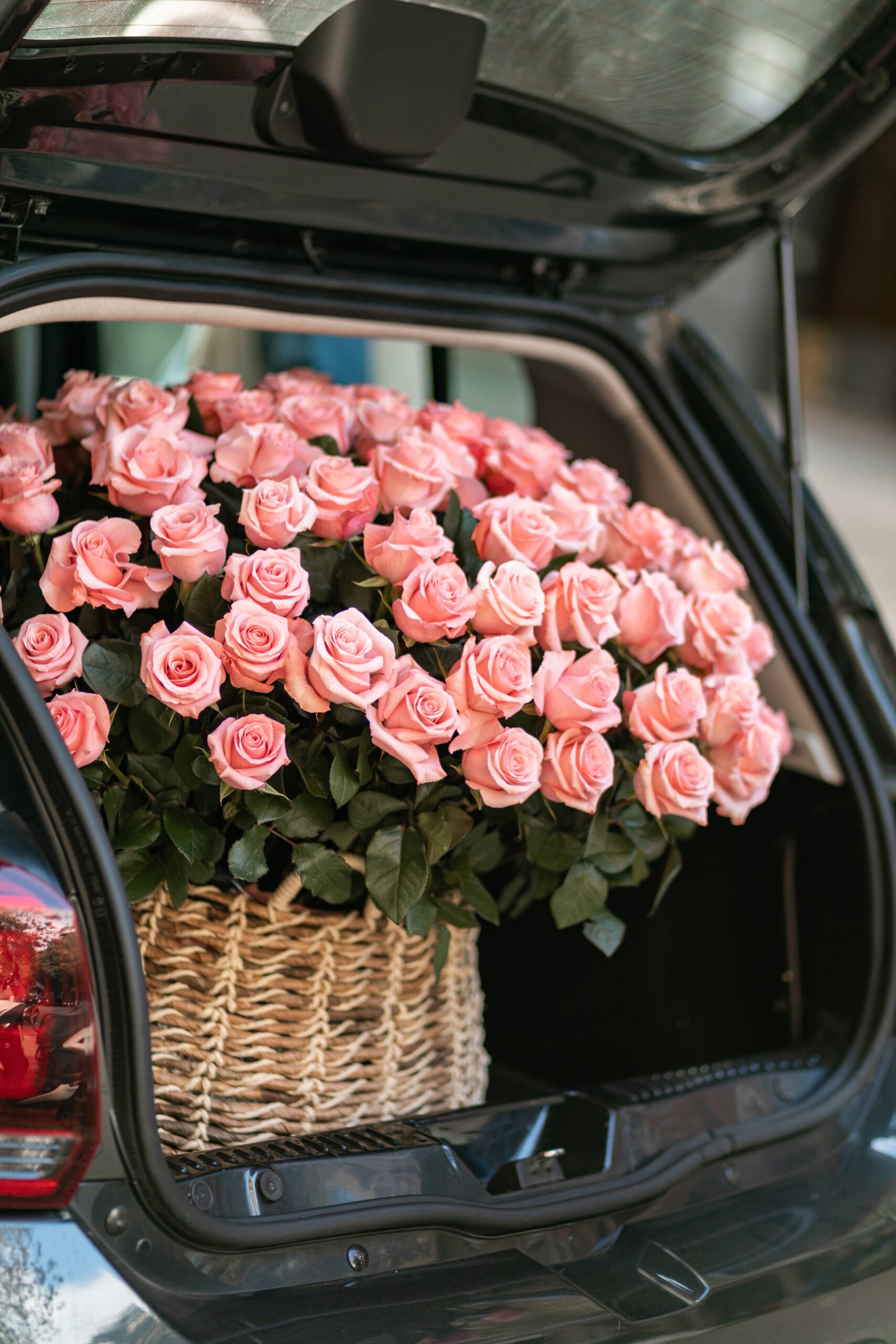 3f81e2e7-b52a-490e-bfa0-95fcb6217b21