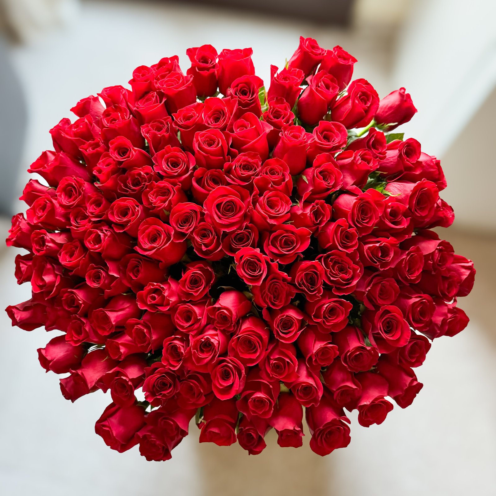 Ramo de 125 rosas rojas
