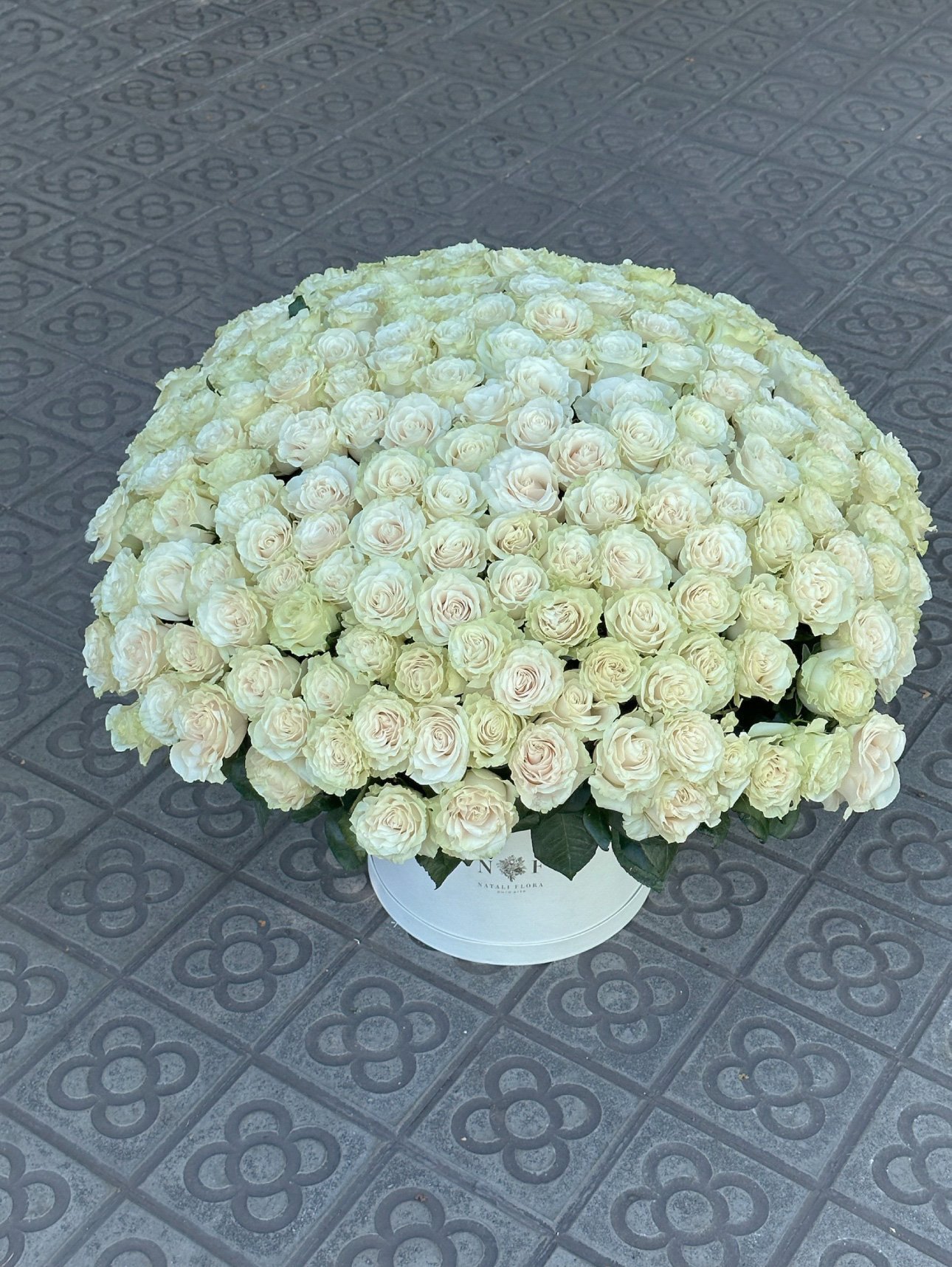 200 rosas blancas en caja