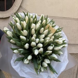 Ramo de 65 tulipanes