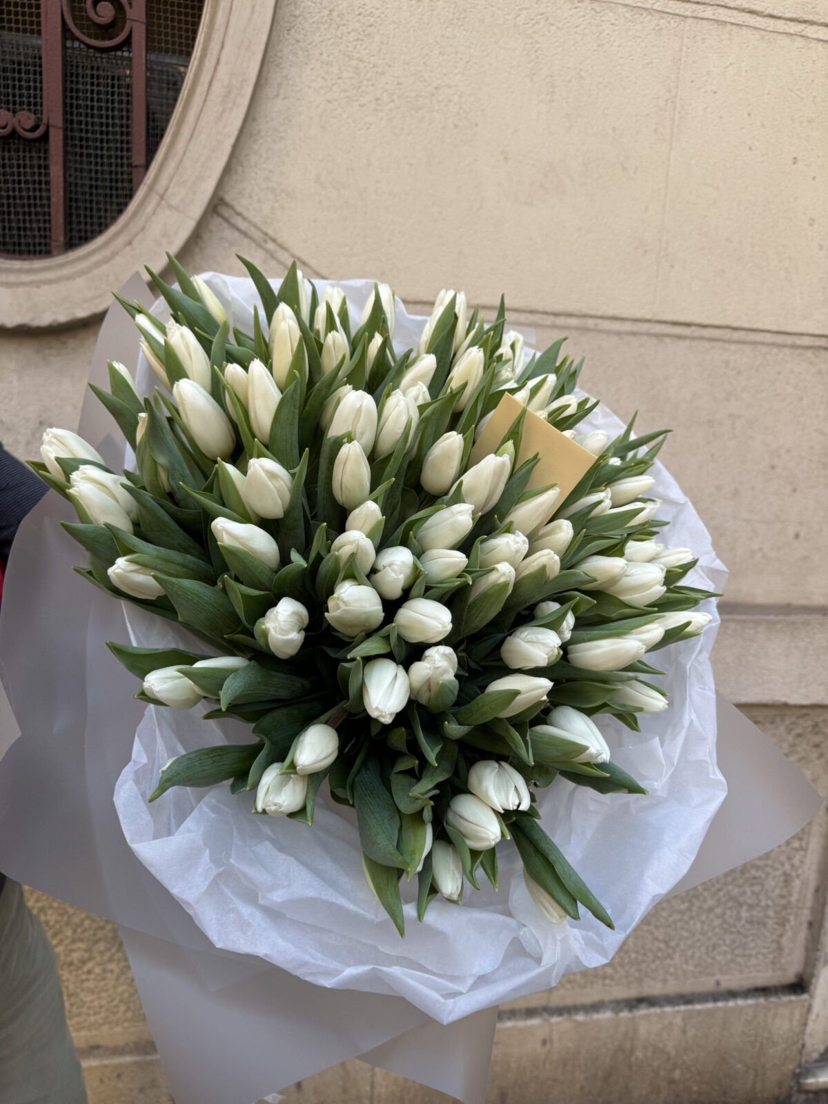 Ramo de 65 tulipanes