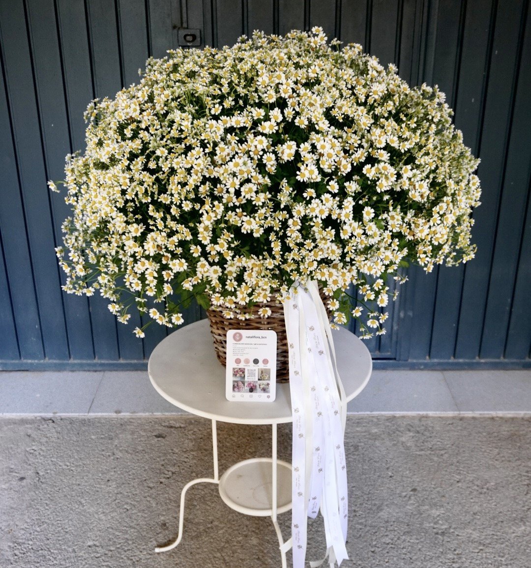 Composición de margaritas en cesta