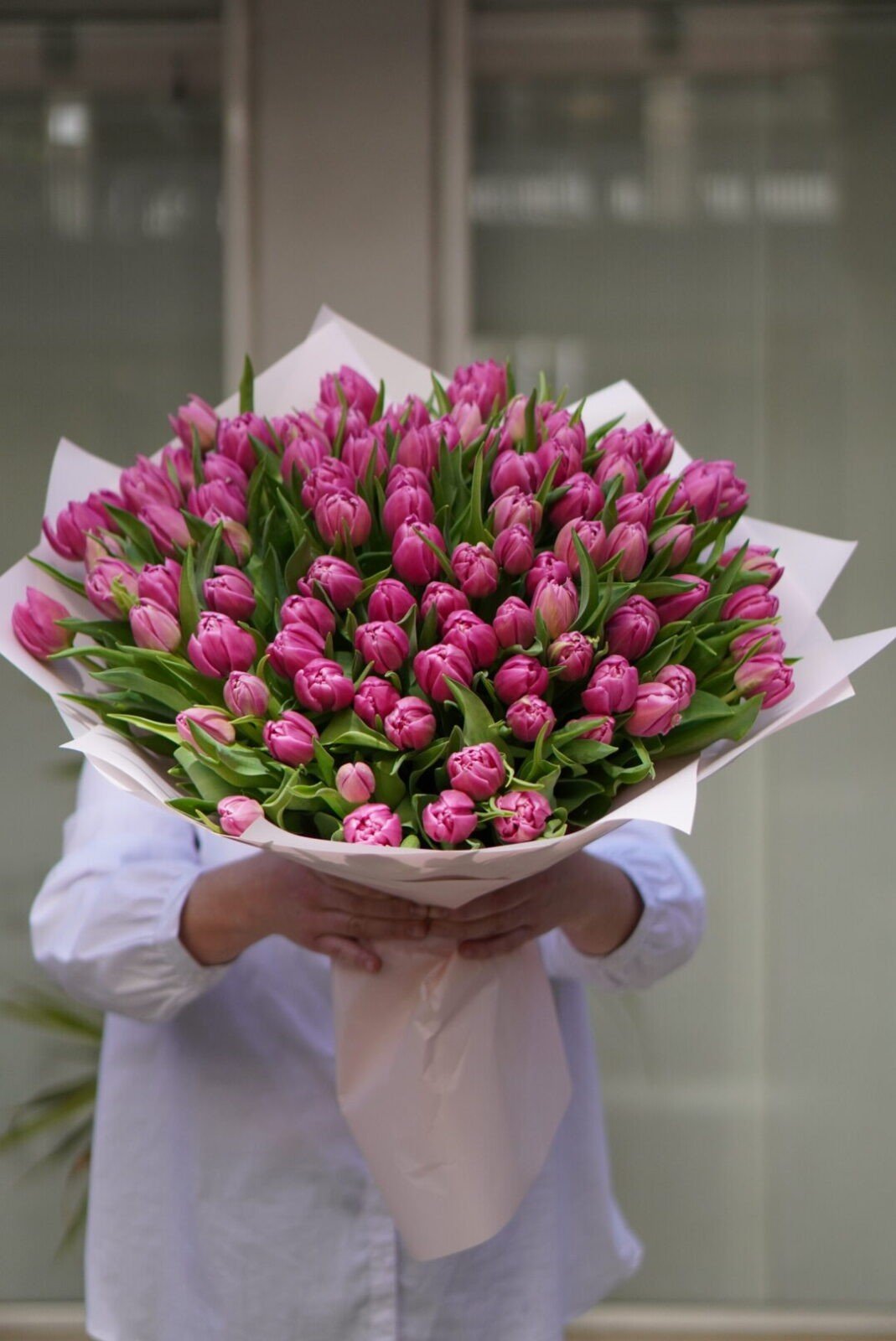 Ramo de 100 tulipanes color lila