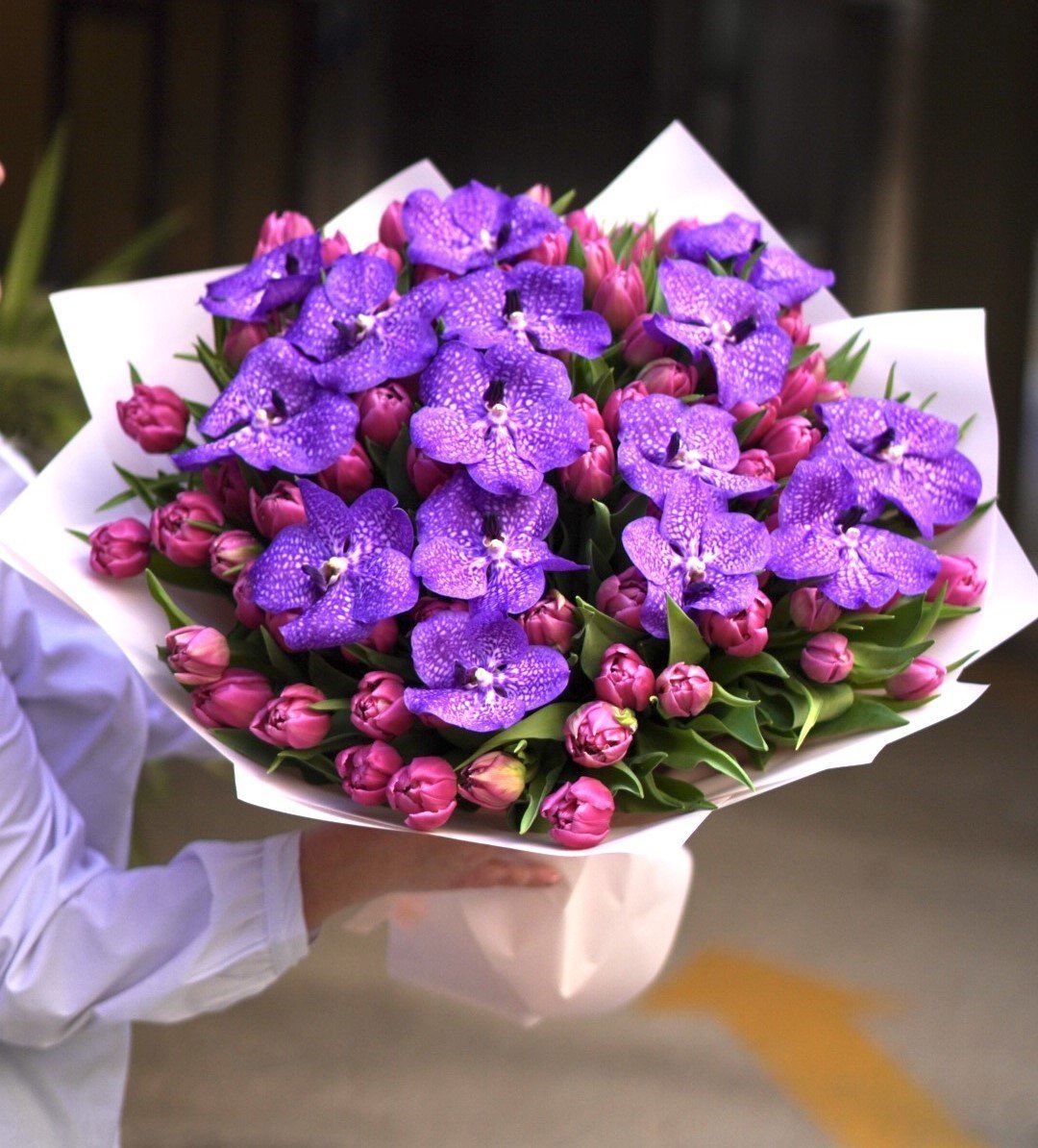 Ramo de orquídeas Wanda y tulipanes